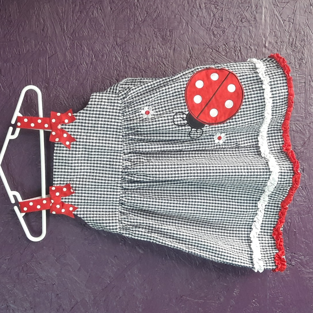 Emily Rose Toddler Dress